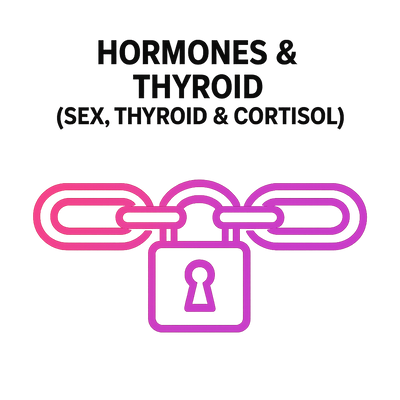 Hormones (Sex Hormones, Thyroid, Adrenals)