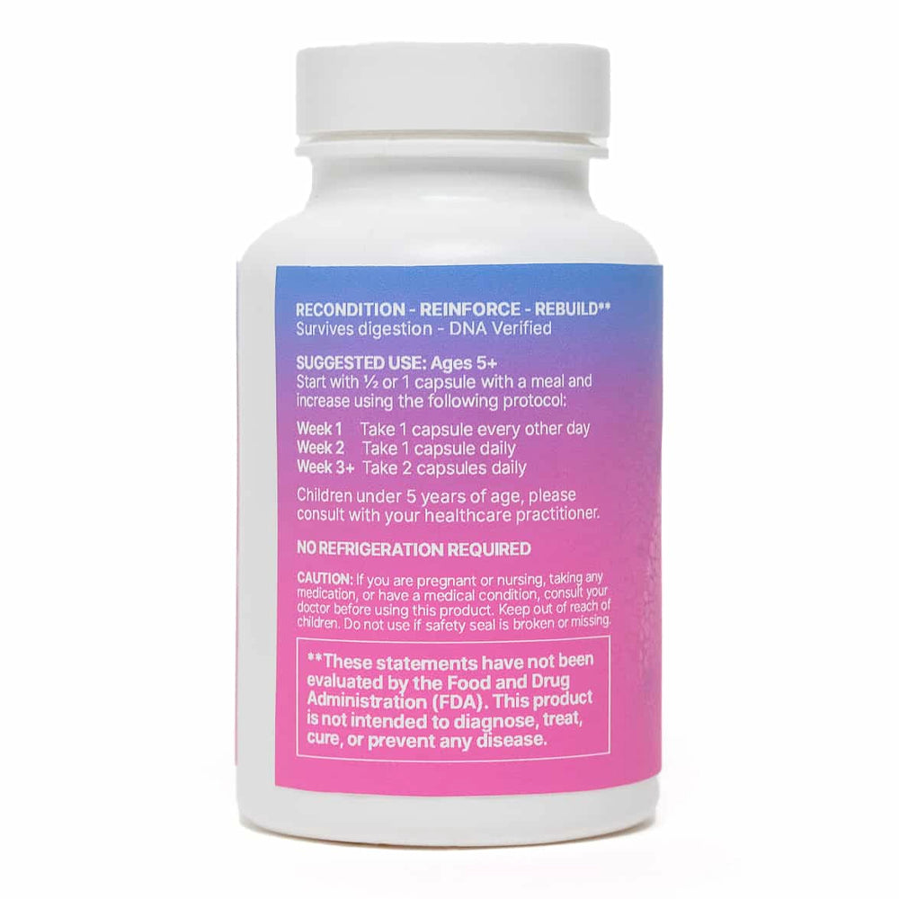 MegaSporeBiotic